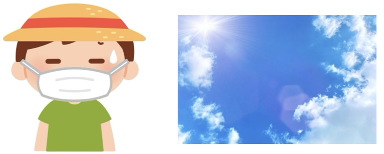 毛髪と外的要因について