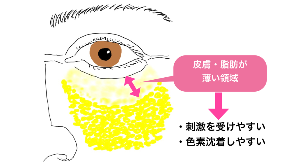 目の下の皮膚が薄いエリア