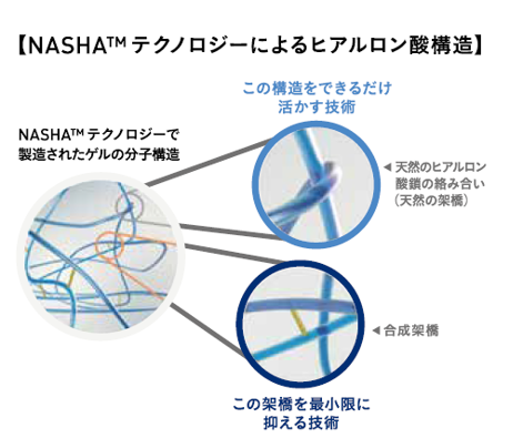 ナーシャテクノロジーによるヒアルロン酸構造