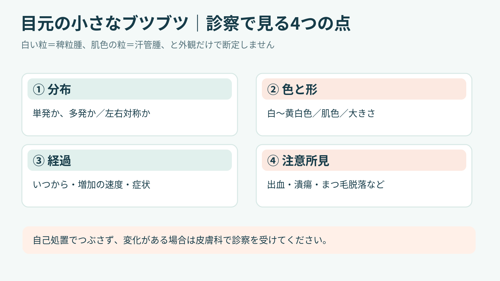 目元のできものの診察ポイント（医学模式図）